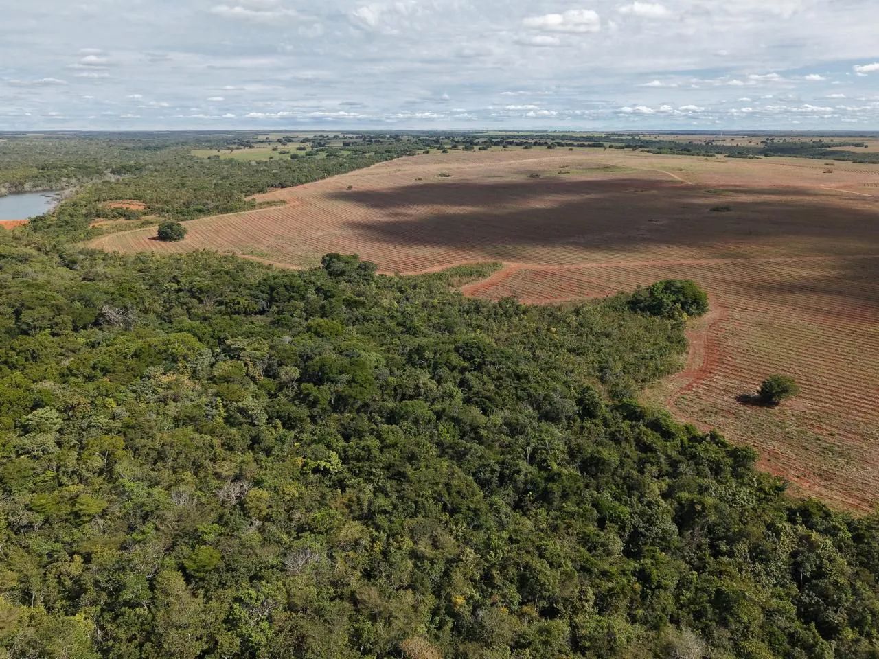 Fazenda de arrendamento 600hec em Canarana MT. - Foto 9