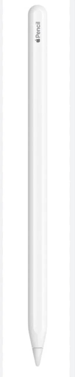 Apple Pencil 2a geracao - 1 ano de uso - conservada com case de