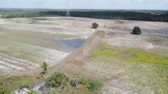 fazenda com 270 hectares próximo a Macaiba - Foto 4