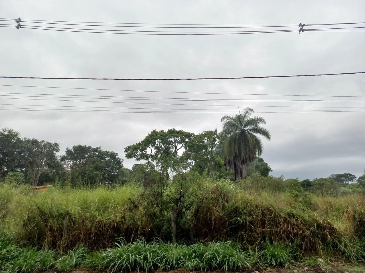 Excelente lote de 1.000m² na Orla da Lagoa de Fora em Funilândia MG  - Foto 3
