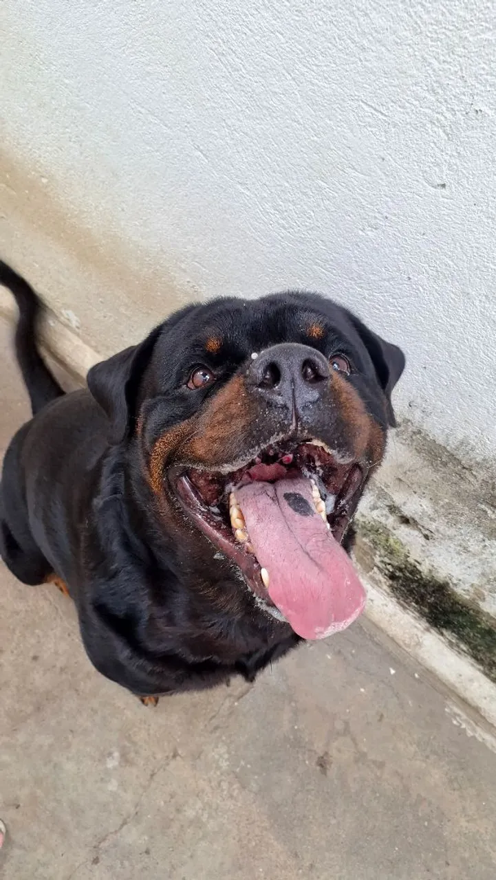 DISPONÍVEL PARA COBERTURA
