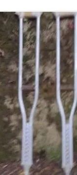 Muleta64167762454403120