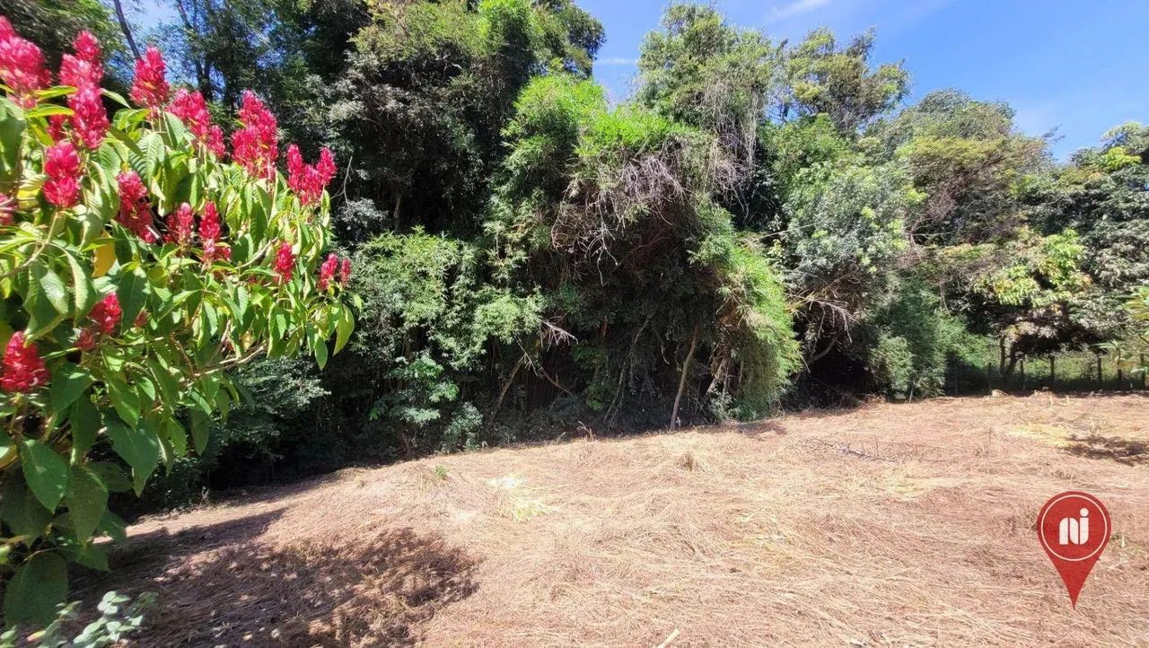 Sítio à venda, 4000 m² por R$ 325.000,00 - Eixo Quebrado - Bonfim/MG - Foto 4
