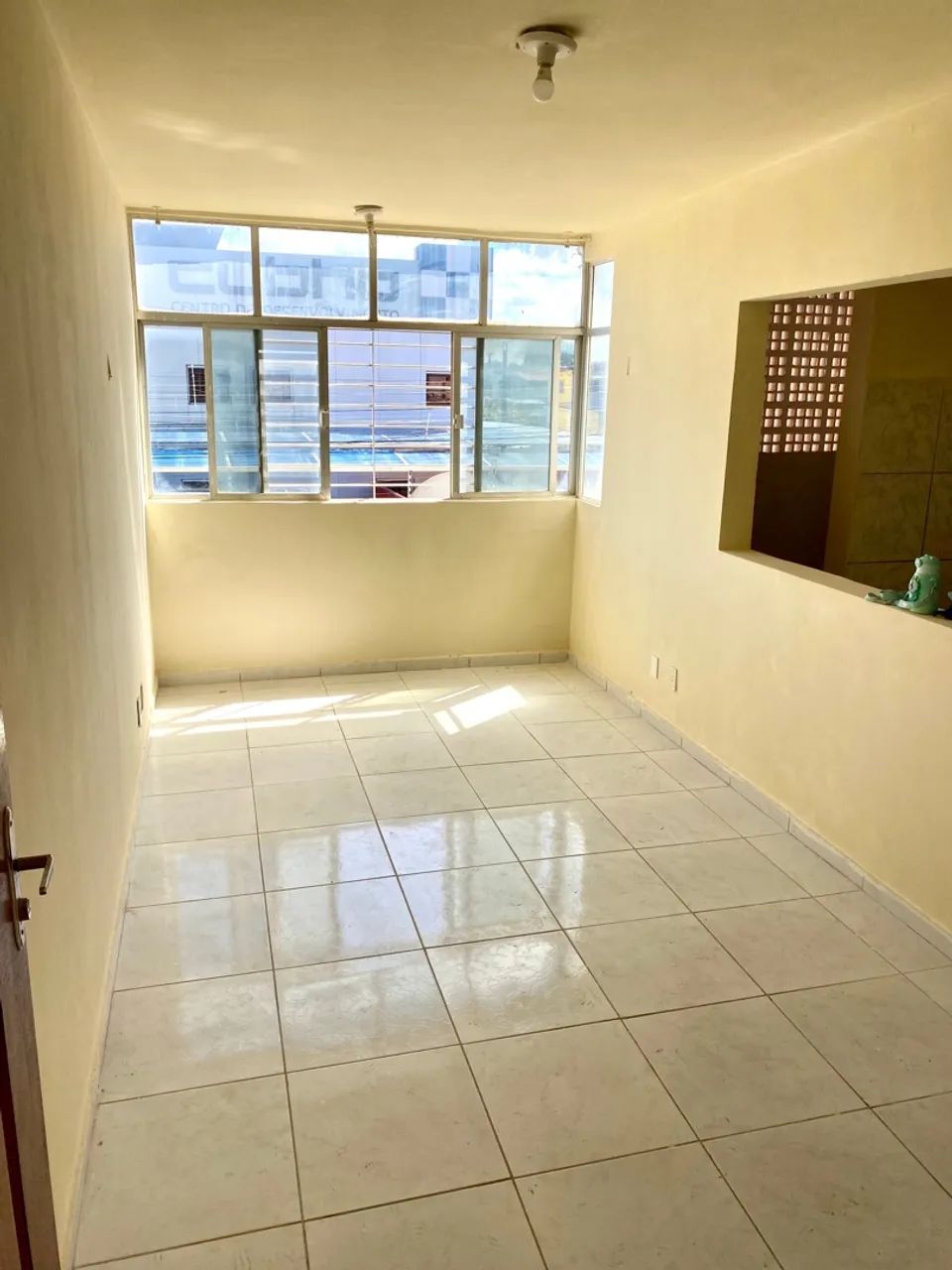 Foto - Paulista - Janga