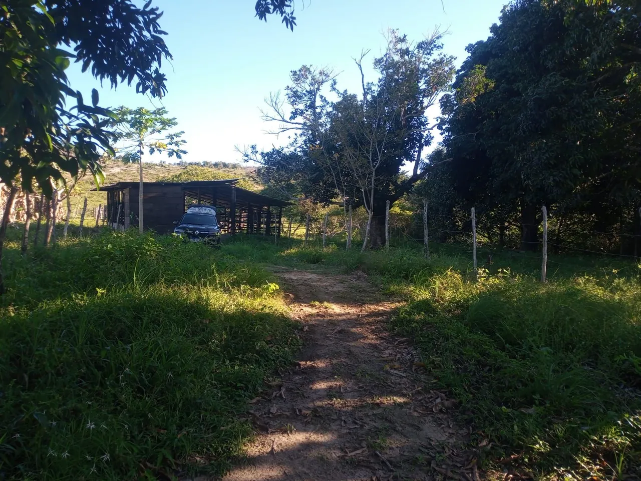 PROPRIEDADE 15 TAREFAS EM ESTÂNCIA SE