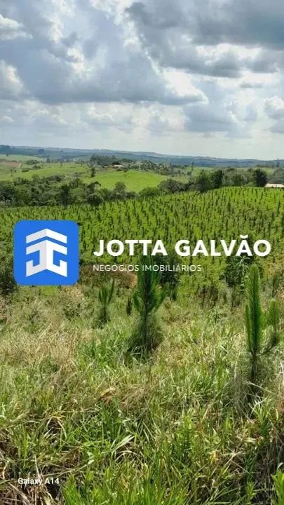 Sítio a venda - Retiro Santana, Itapetininga - Foto 4