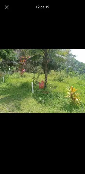 Chácara em Aldeia com 5000m - Foto 12