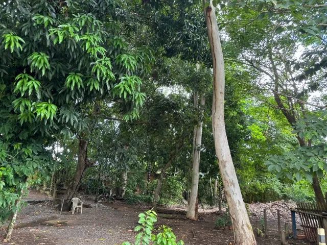 Terreno com 4.311,04 m² - Nova Esperança - Foto 4