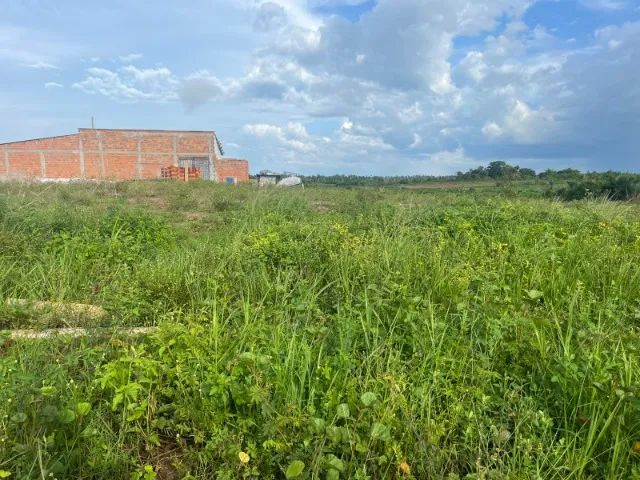 VENDO TERRENO 10MX25M GREEN PARK EM BACABAL - MA! - Foto 3
