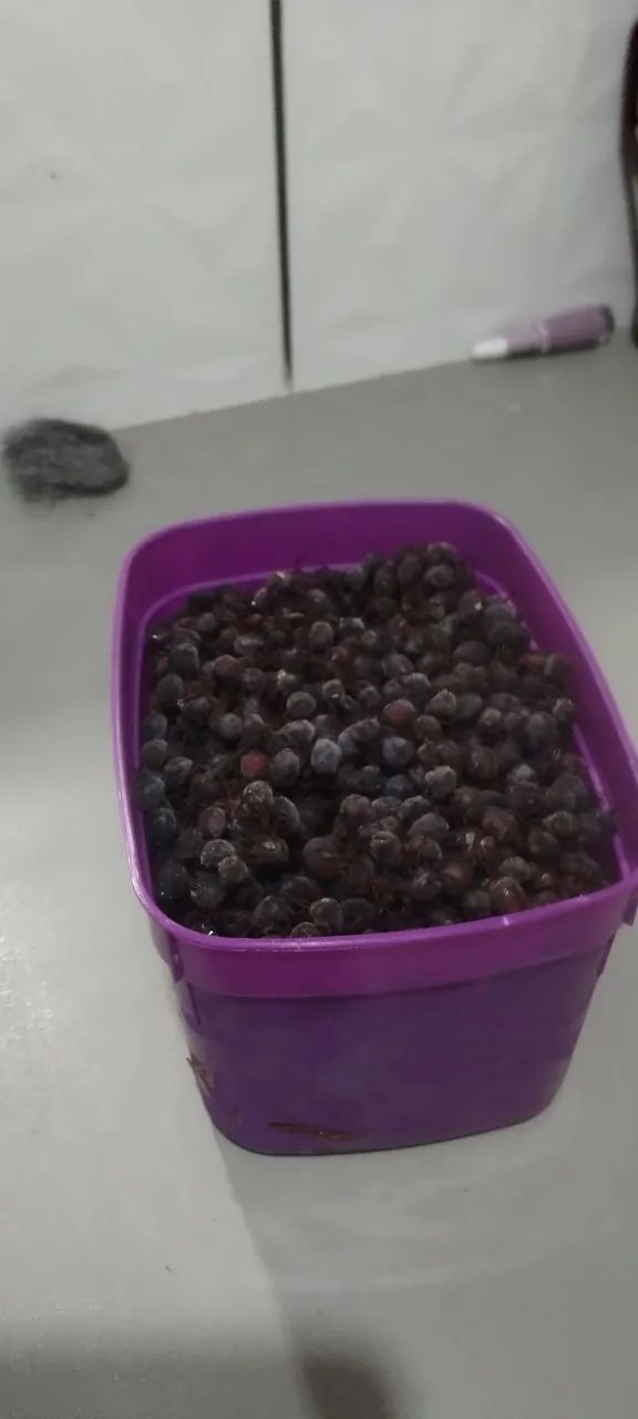 Vendo iça limpo 1 litro  - Foto 2