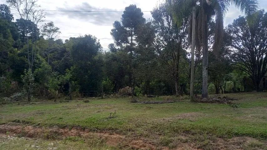Área de terras com 5 Alqueires em Mandirituba - Foto 4