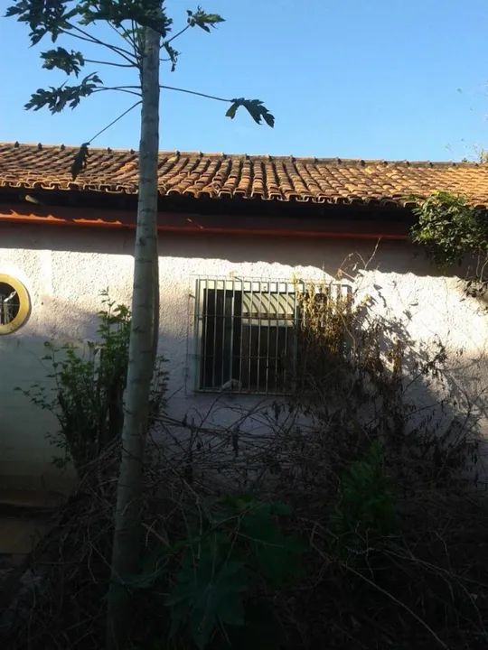 Excelente Sítio em Sampaio Correa - Saquarema, 100% Plano, Entrada Rod. Amaral Peixoto - Foto 3