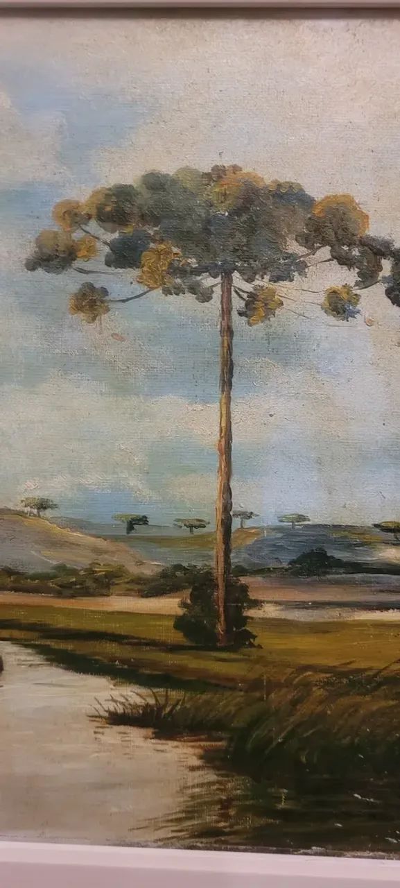 Quadro Paisagem Araucaria Sul Do Brasil Atribuido G. Matter - Foto 2