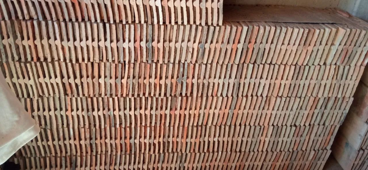Vendo telhas comum,  por  1,50 reais cada. - Foto 2