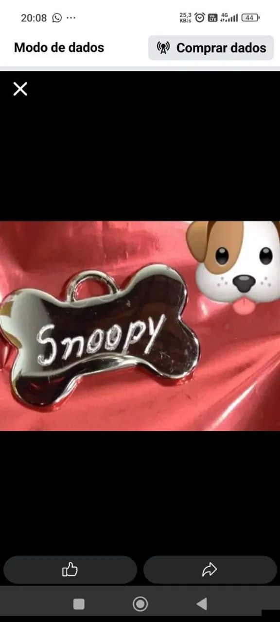 Plaquinha de cachorro 