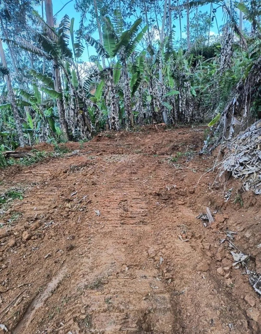 VENDO CHÁCARA EM 3 RIACHOS BIGUAÇU  - Foto 5