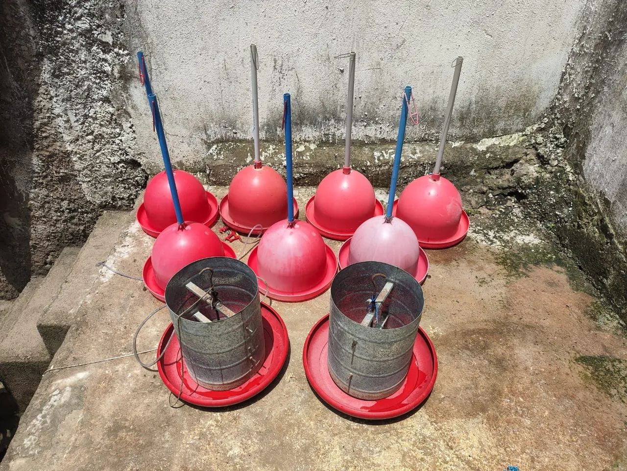 Bebedouro e comedouro