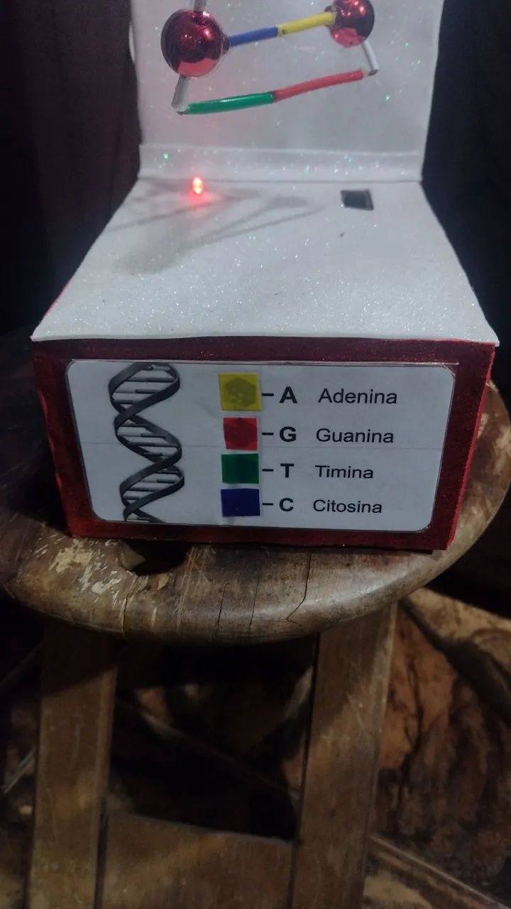 Maquete de DNA  - Foto 5
