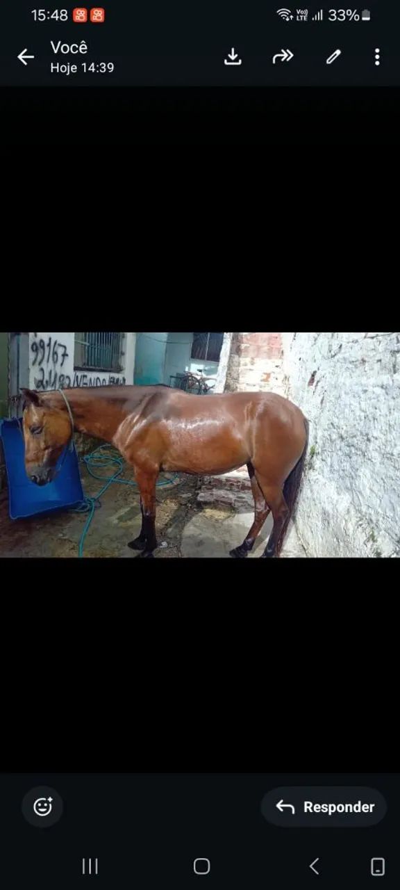 Vende ou troca 