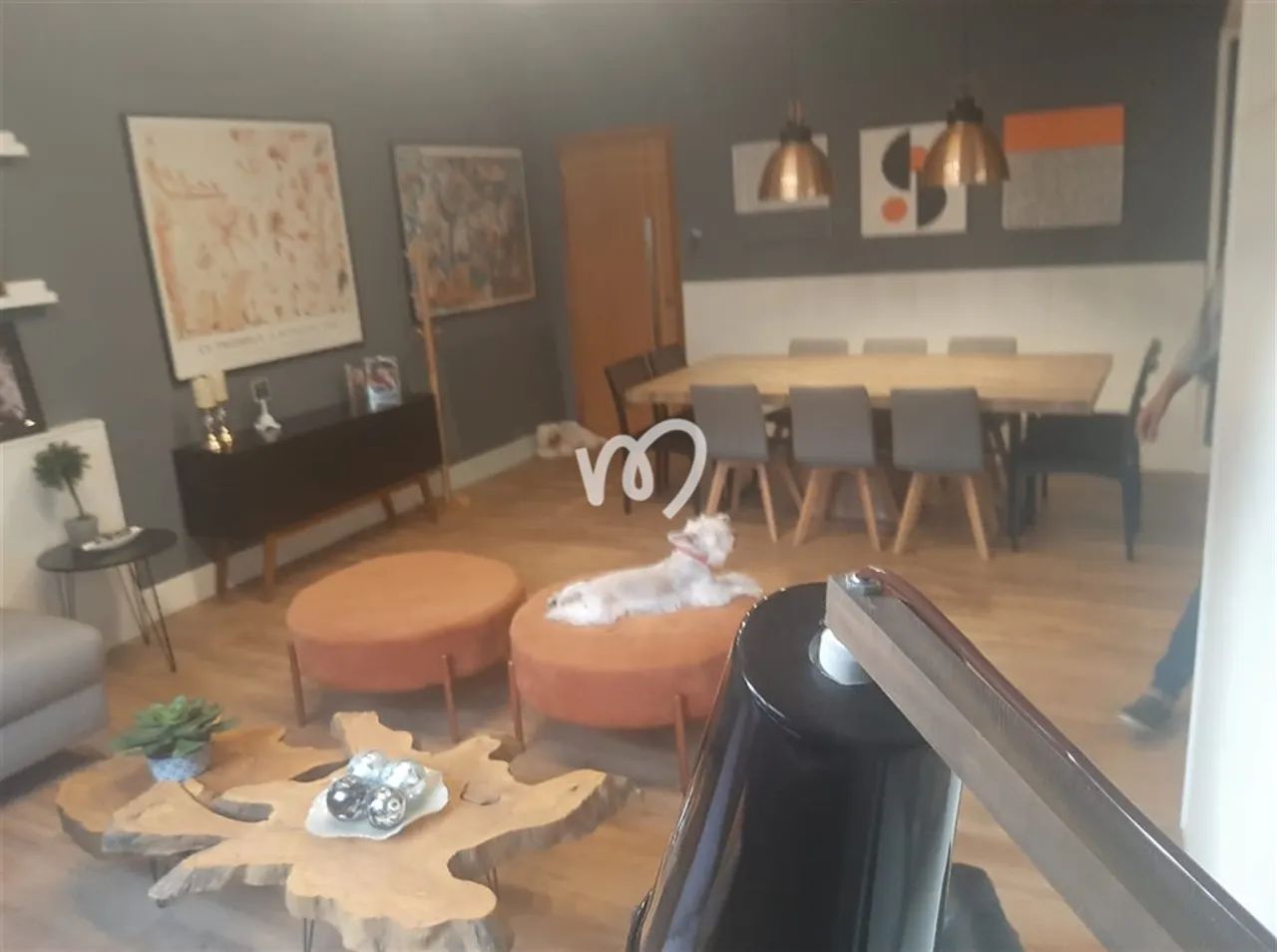 Apartamento 3 quartos, sendo 1 suíte - Foto 5