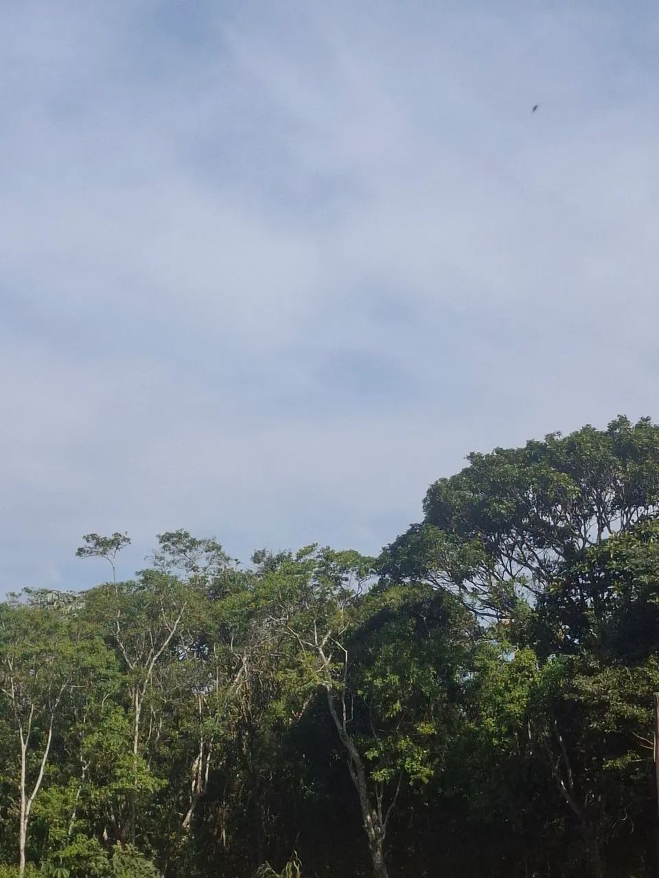 VAGA DE CASEIRO EM SÃO PAULO 