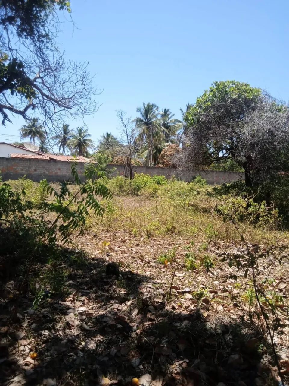 TERRENO NO MOSQUEIRO - MATAPOÃ - Foto 3