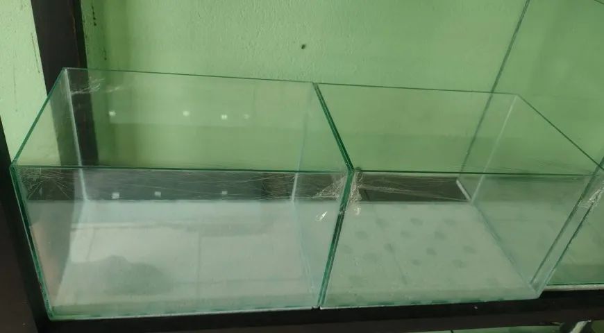 Aquário de 12L. NOVO!