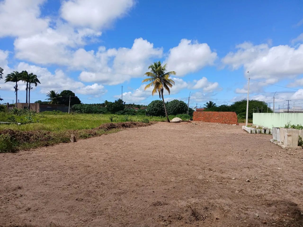 Serviço de jardinagem, plantio mudas e limpeza de lotes - Foto 3
