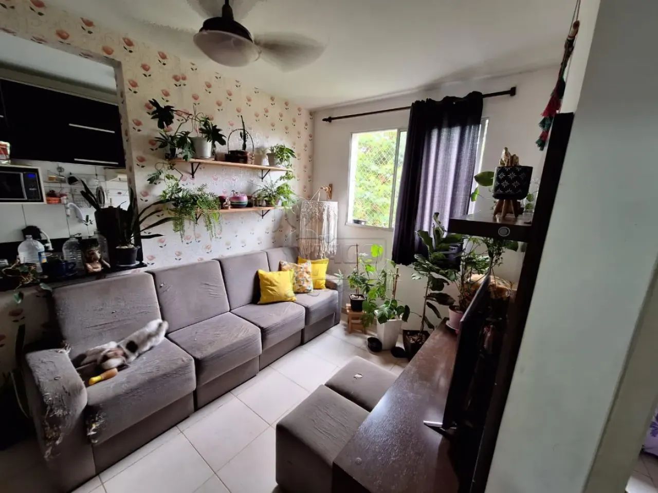 APARTAMENTO NO PARQUE ROCHESTER