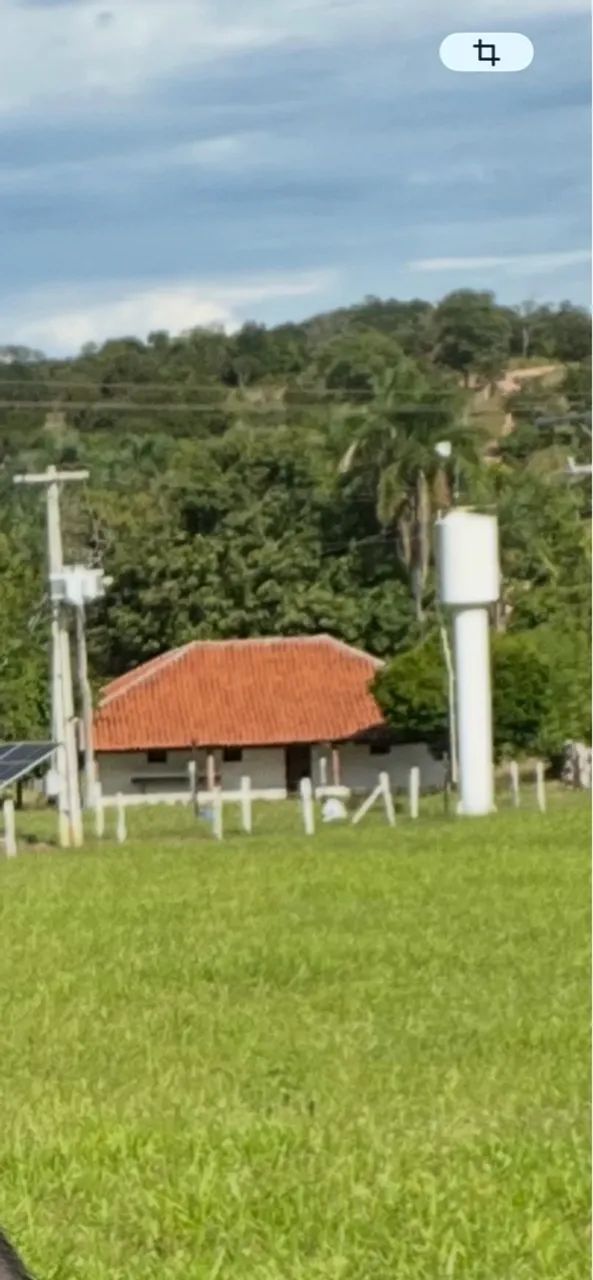 Fazenda - São Luis de Montes Belos - Go - Foto 3