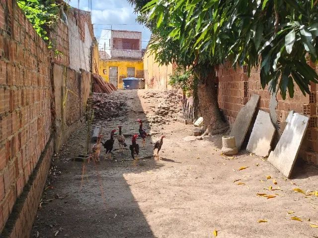 Terreno  - Foto 2