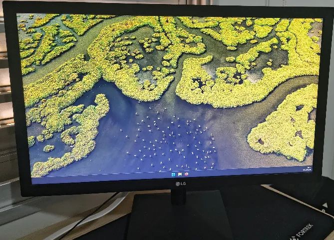 Monitor LG 21,5" Full HD (22MK400)