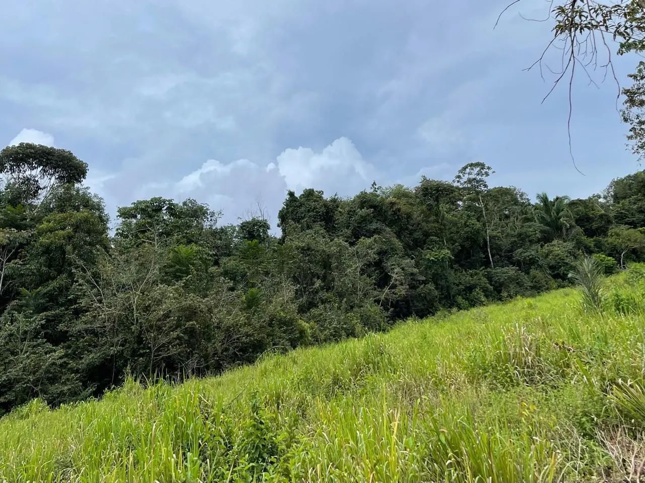 Fazenda com 647 ha - Foto 4
