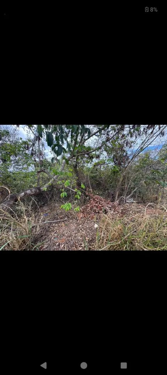 Lote Lagoa santa  - Foto 5