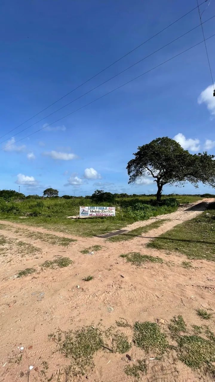 Terreno em Pium 200m² (Loteamento Vale Verde) - Foto 4