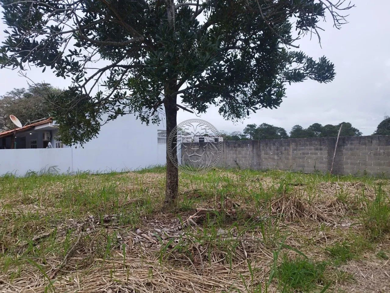 Terreno com 495 m2 no Campeche em Florianópolis - SC - Foto 4