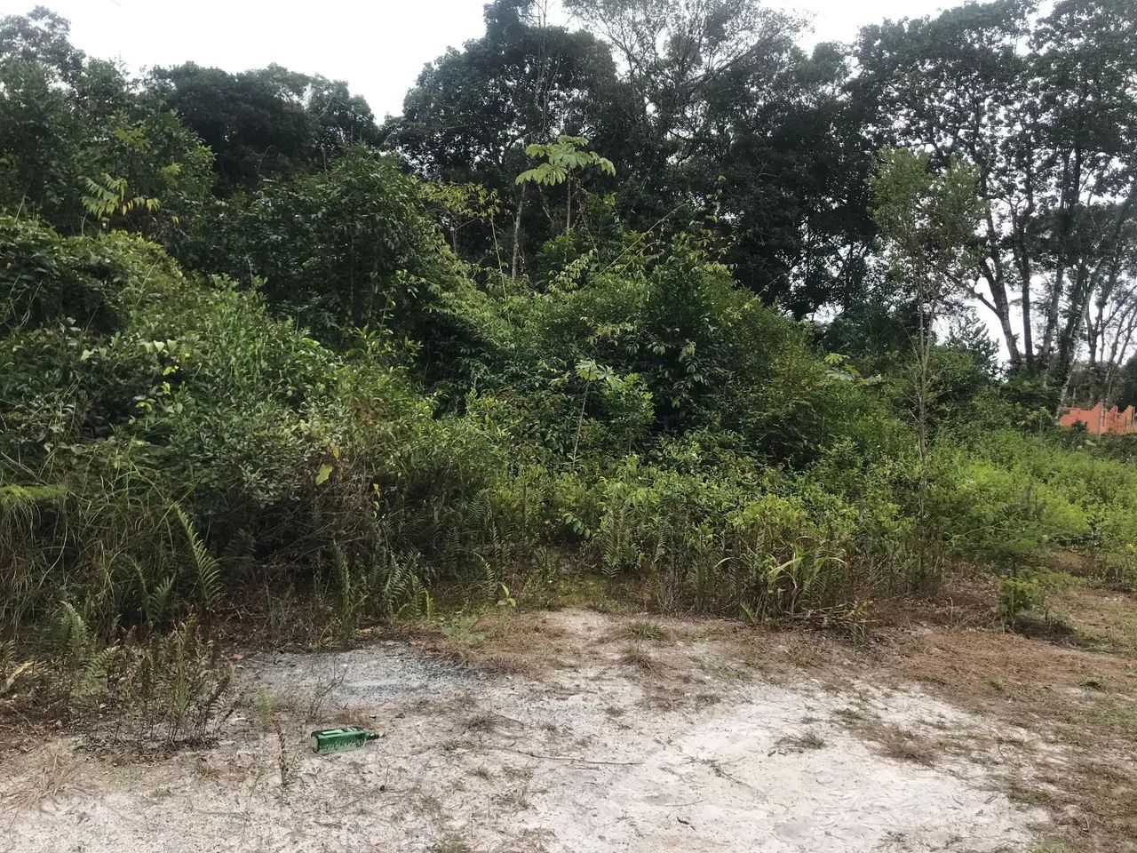 Terrenos Em Ipanema  - Foto 2