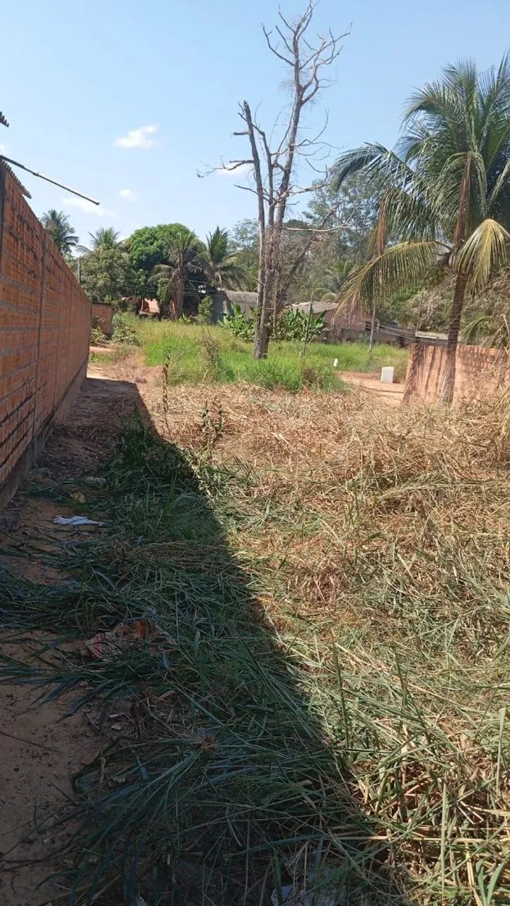 TERRENO  - Foto 4