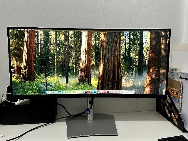 Monitor Curvo 34" com USB-C Dell P3421W