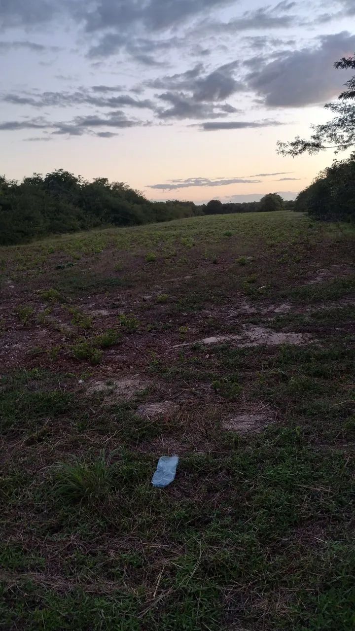 Terrenos na zona rural de Beberibe  - Foto 2