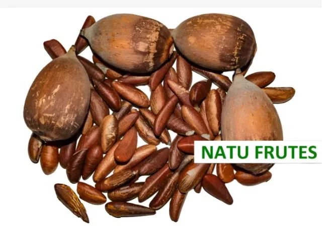 3kg Amêndoas Castanha de Coco Babaçu Natural