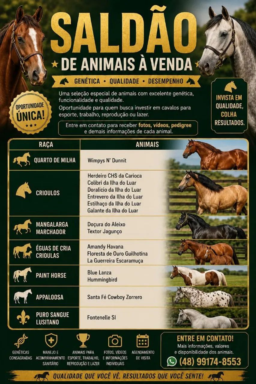 Saldao de cavalos 