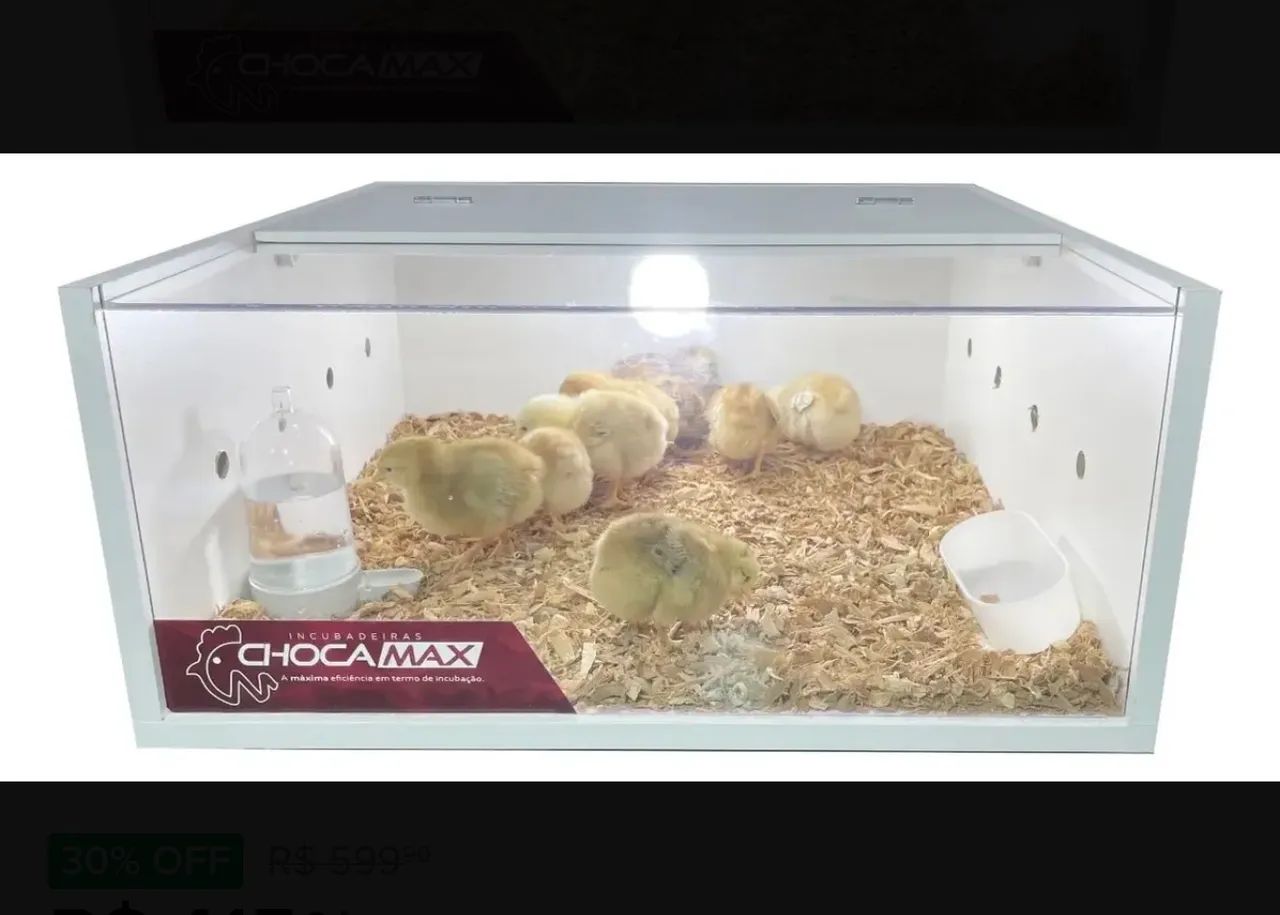 NASCEDOURO PARA AVES