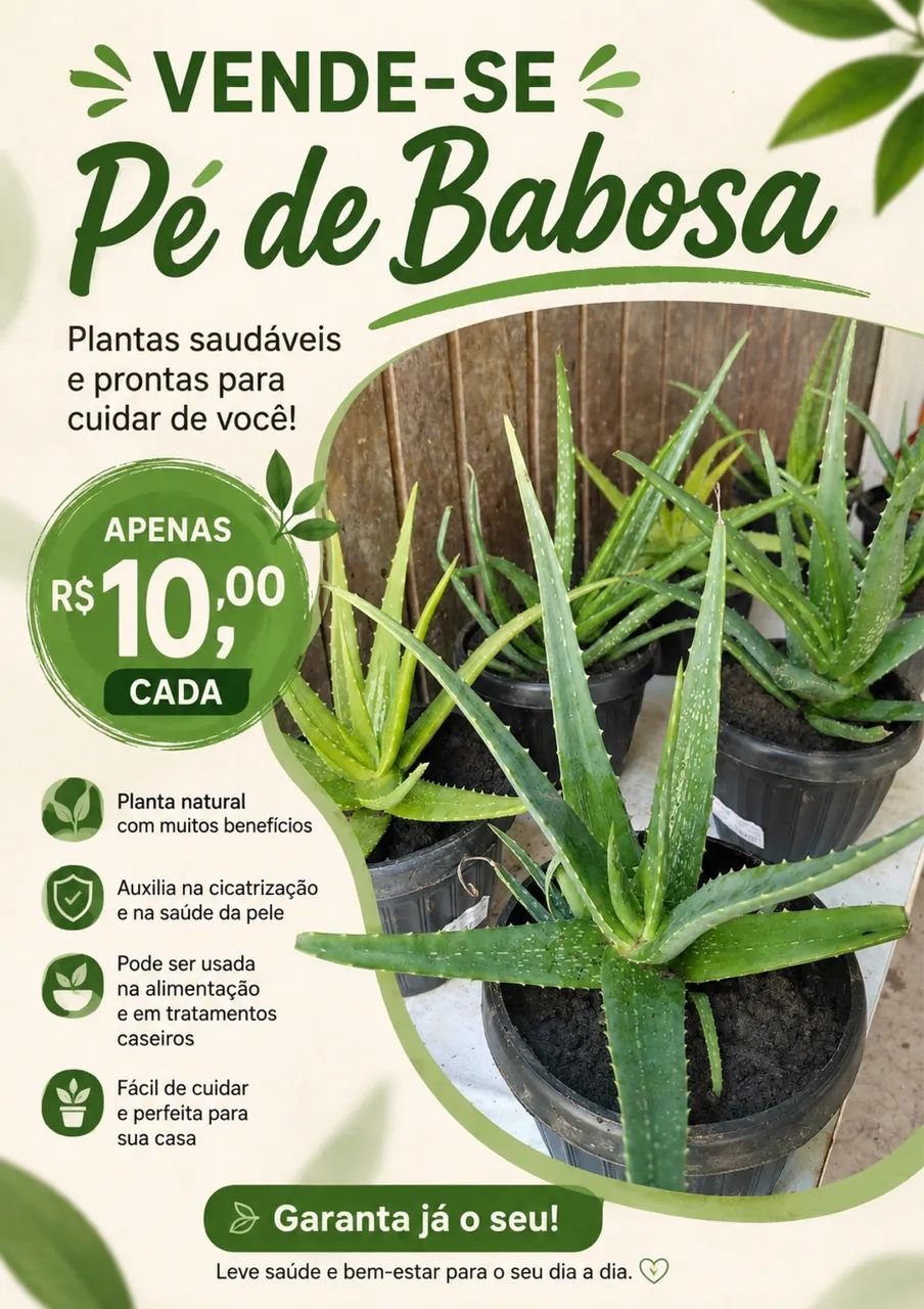 Vendo babosa 