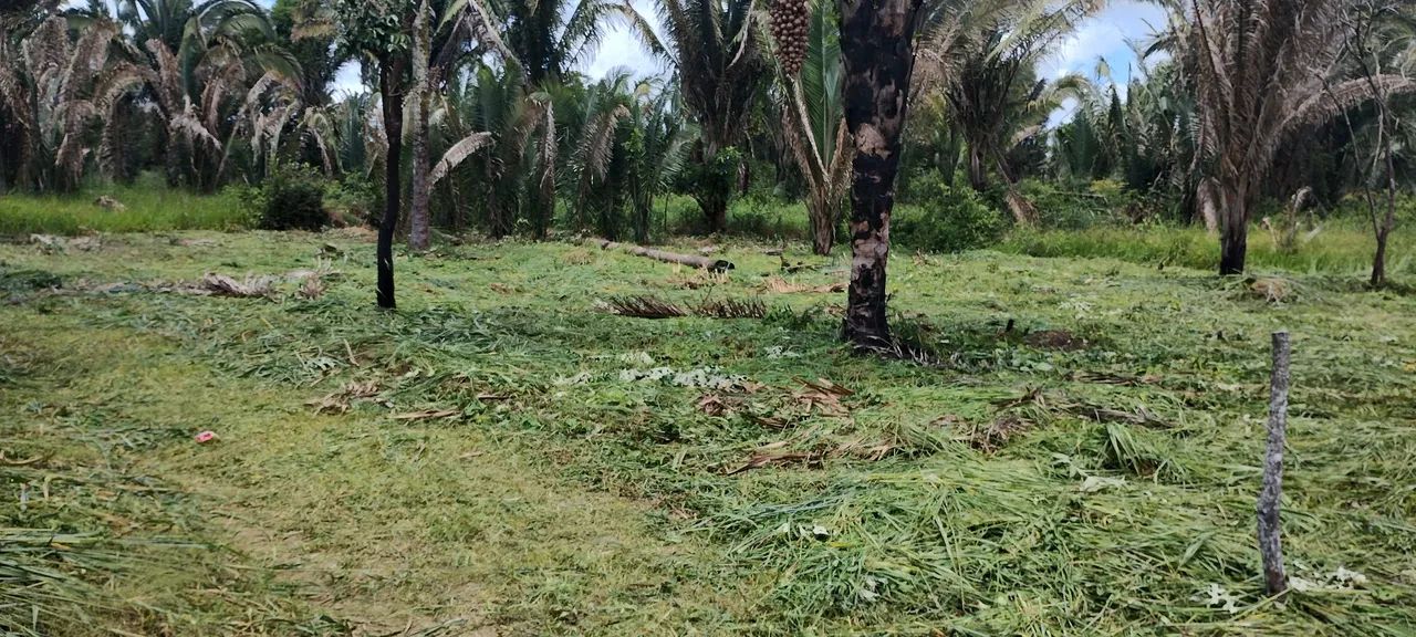 Vendo lotes zona rural de  Ubajara 