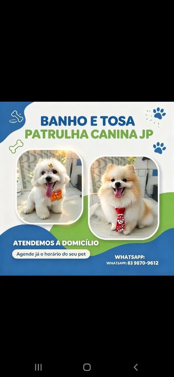 Banho e tosa a domicílio 