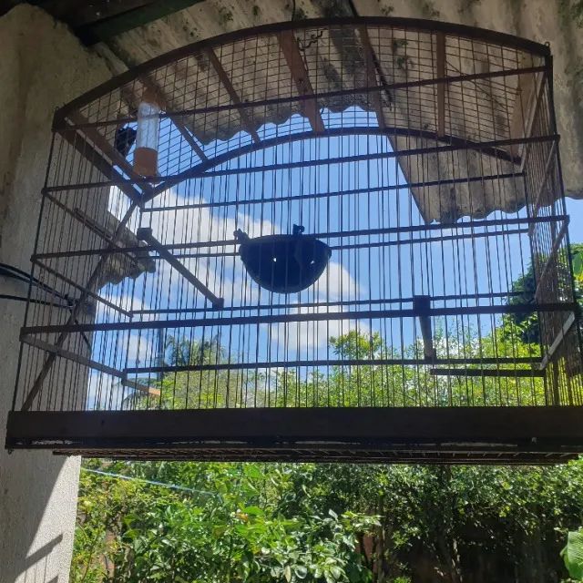 Gaiola - Foto 2
