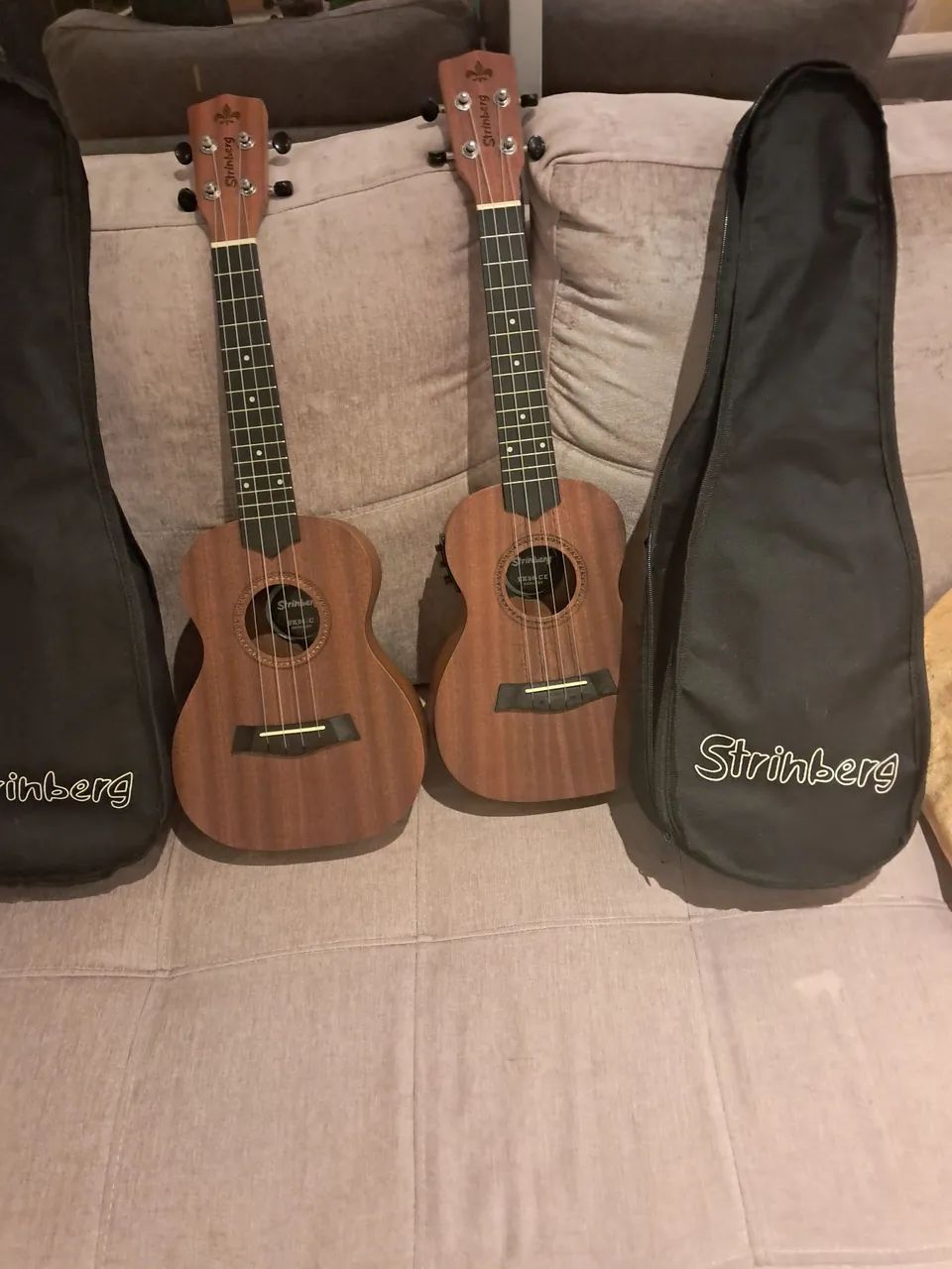 Instrumento musical