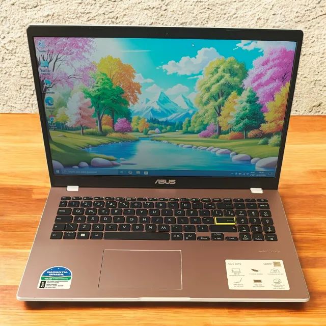 Not ASUS Vivobook Go