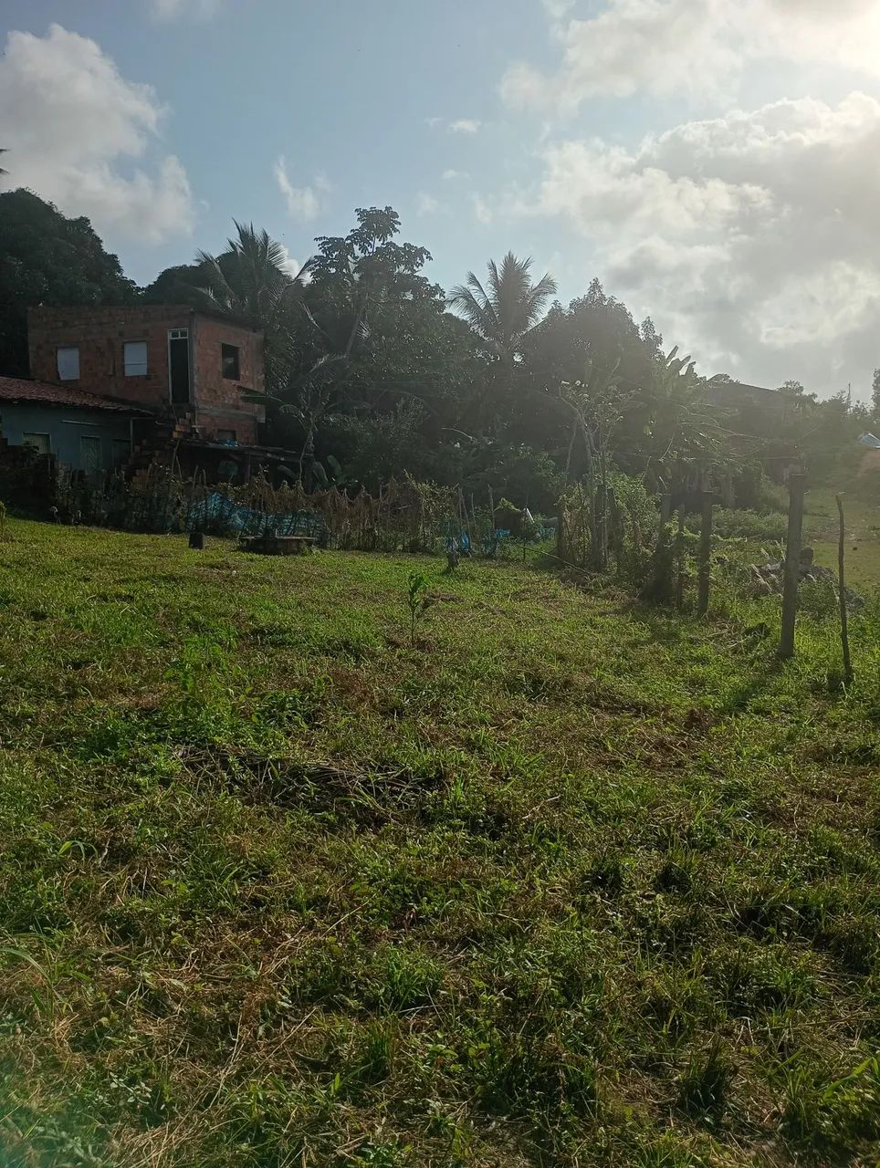 Terreno 5x20 - Foto 2